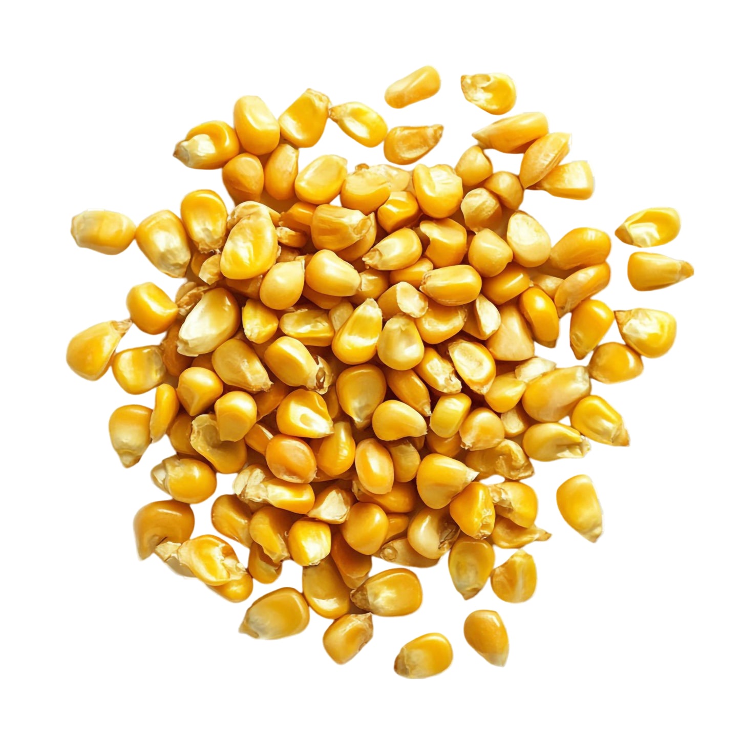 Yellow Corn (Whole Kernel)