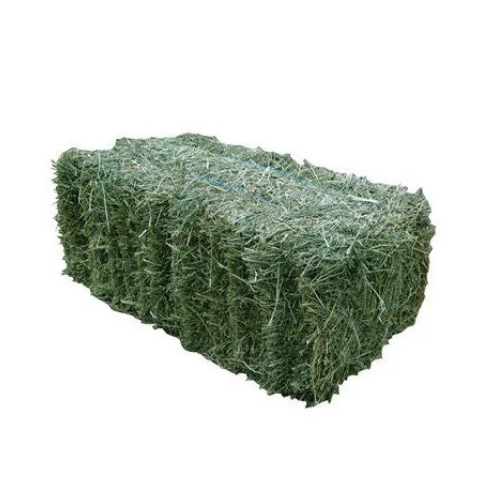 Lucerne Bales 18KG